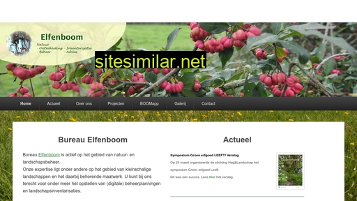 elfenboom.nl alternative sites