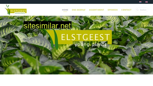 elstgeestyoungplants.nl alternative sites