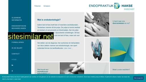endopraktijkhakse.nl alternative sites