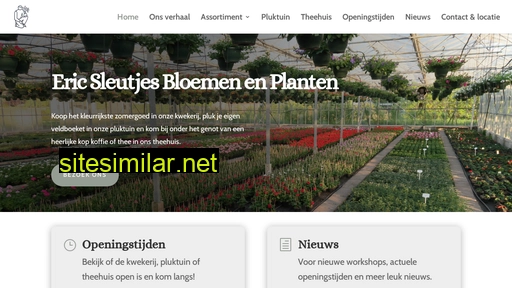 ericsleutjes.nl alternative sites