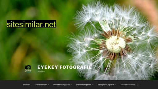 eyekey.nl alternative sites