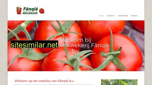 fanqie.nl alternative sites