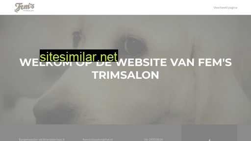 femstrimsalon.nl alternative sites