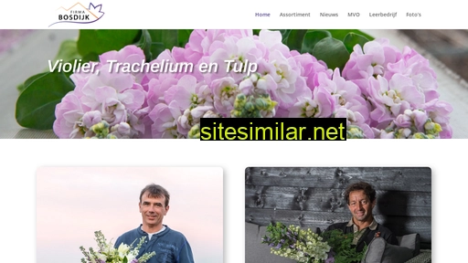 firmabosdijk.nl alternative sites