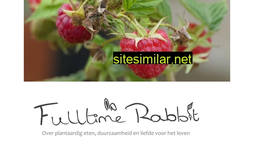 fulltimerabbit.nl alternative sites