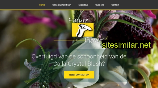future-flowers.nl alternative sites