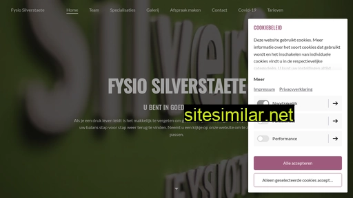 fysiosilverstaete.nl alternative sites