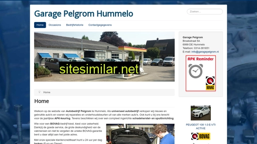 garagepelgrom.nl alternative sites
