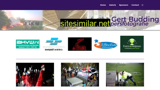 gertbudding.nl alternative sites
