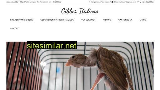 gibberitalicus.nl alternative sites