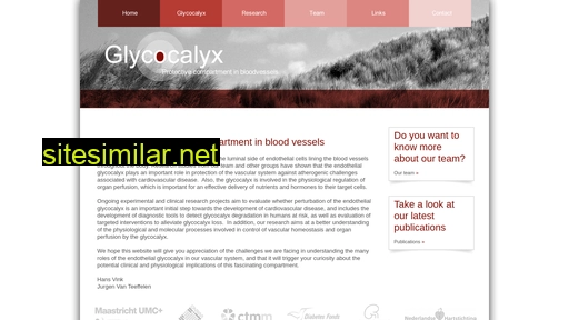 glycocalyx.nl alternative sites