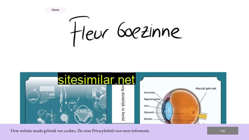 goezinne.nl alternative sites