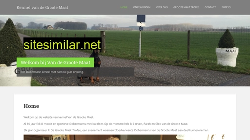 grootemaat.nl alternative sites