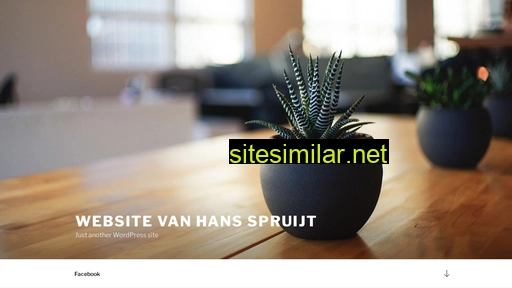 hansspruijt.nl alternative sites