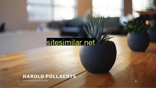 harold-pollaerts.nl alternative sites