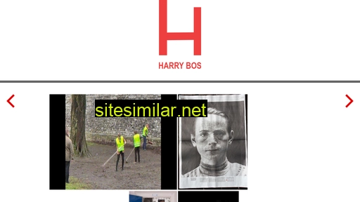 Harrybos similar sites