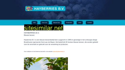 hayberries.nl alternative sites
