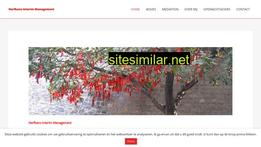 herfkensinterimmanagement.nl alternative sites