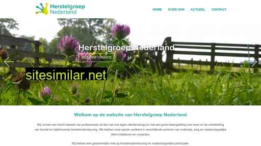 herstelgroepnederland.nl alternative sites