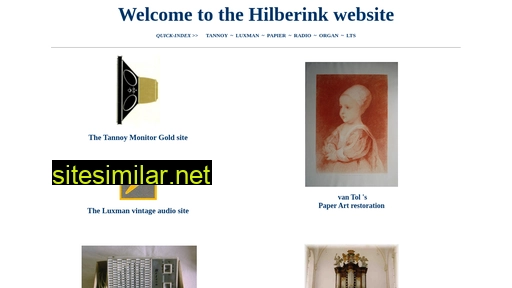 hilberink.nl alternative sites