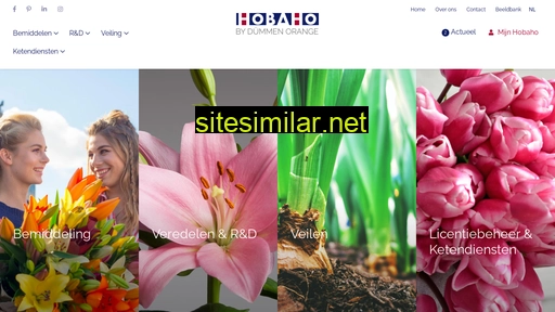 hobaho.nl alternative sites