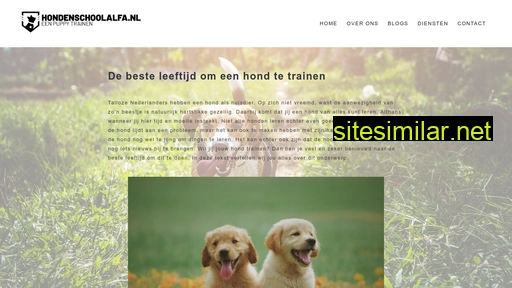 hondenschoolalfa.nl alternative sites