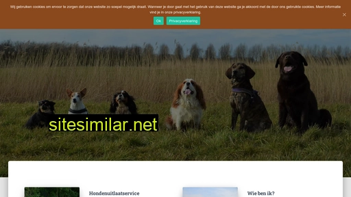 hondenservicedordrecht.nl alternative sites