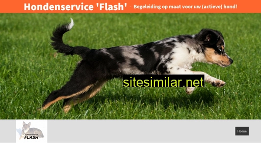 hondenserviceflash.nl alternative sites