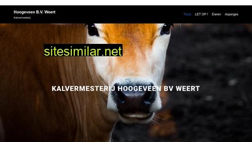 hoogeveenweertbv.nl alternative sites