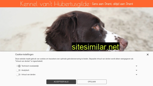 hubertusgilde.nl alternative sites