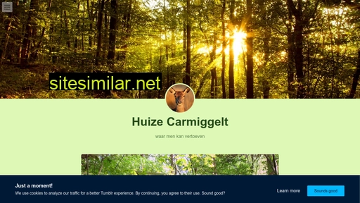 huizecarmiggelt.nl alternative sites