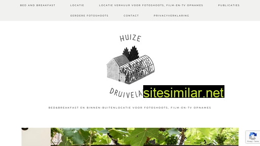 huizedruivelaar.nl alternative sites