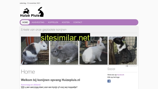 huizepluis.nl alternative sites