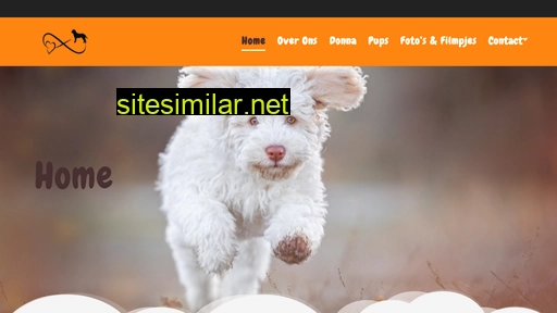 ilbricconcello.nl alternative sites