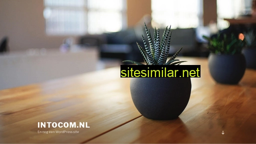 intocom.nl alternative sites