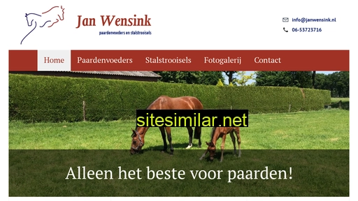 janwensink.nl alternative sites
