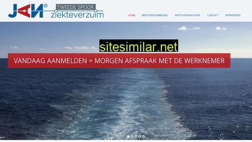 janziekteverzuim.nl alternative sites