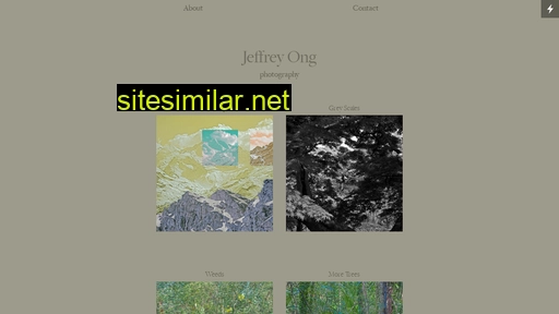 jeffreyong.nl alternative sites