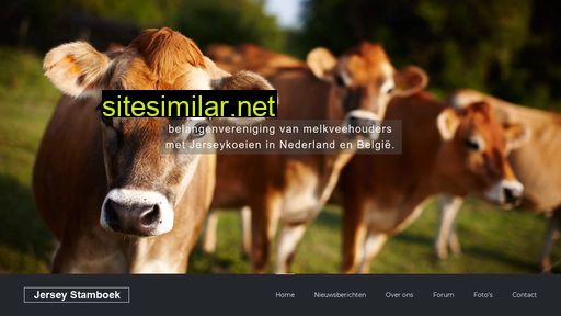 jerseystamboek.nl alternative sites