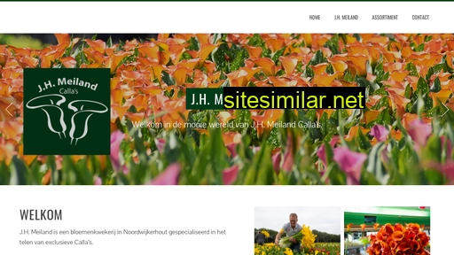jhmeiland.nl alternative sites