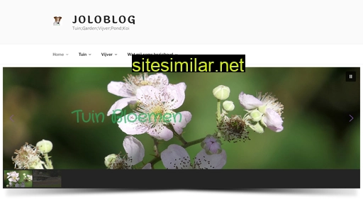 joloblog.nl alternative sites