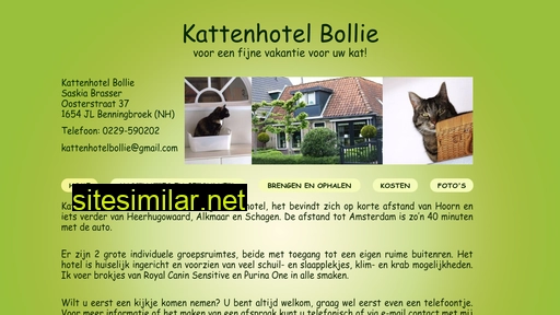 kattenhotelbollie.nl alternative sites