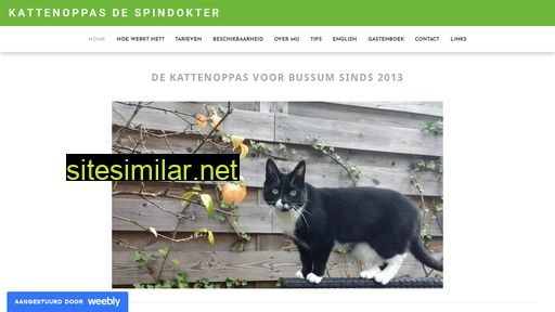 kattenoppasdespindokter.nl alternative sites