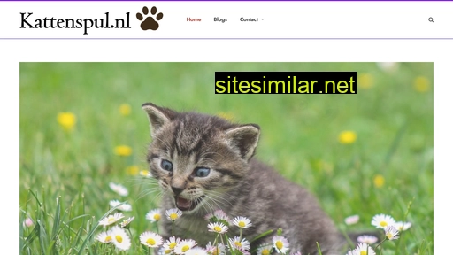 kattenspul.nl alternative sites