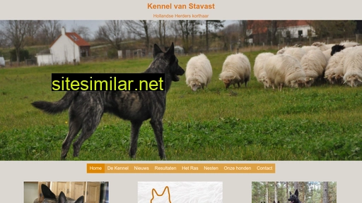 kennelvanstavast.nl alternative sites