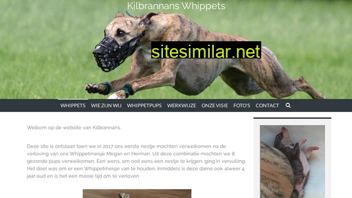 kilbrannans.nl alternative sites