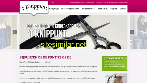 knippuntwekerom.nl alternative sites