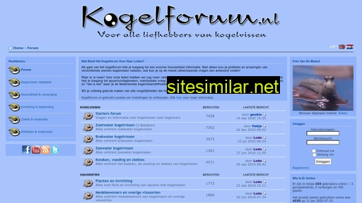 kogelvisforum.nl alternative sites