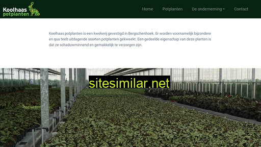 koolhaaspotplanten.nl alternative sites