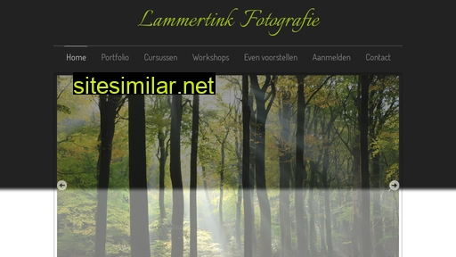 lammertinkfotografie.nl alternative sites